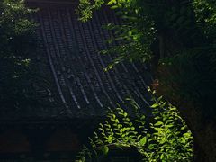 -水磨沟公园