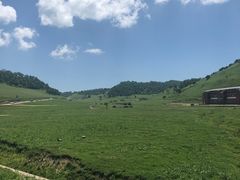 -关山草原