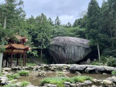 -大围山国家森林公园