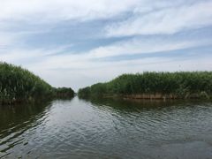 -乌梁素海景区