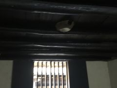 -韶山毛泽东同志故居