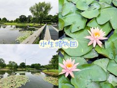 -上海辰山植物园