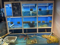 -金龙·打边炉(南京西路店)