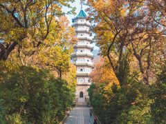 -灵谷景区