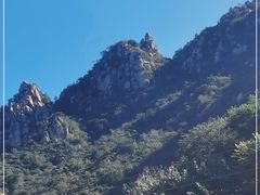 -大岭沟猕猴桃谷风景区