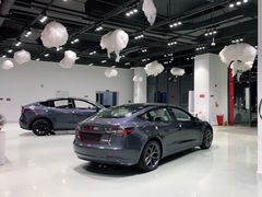 -TESLA 特斯拉(深圳观澜特斯拉直营钣喷中心)