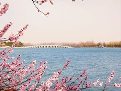 -颐和园-景明楼