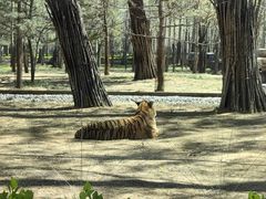-秦皇岛野生动物园