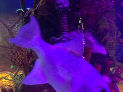 -沈阳海洋探索中心