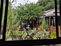 -湘力力小院·鱼汤泡饭(枫林路店)