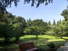 -上海滨江森林公园
