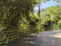 -野象谷景区