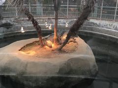 -福州动物园