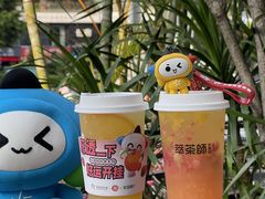 -萃茶师(琅西店)