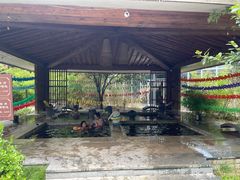 -中家鑫园温泉酒店鑫悦汤泉