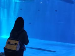 -华夏文旅西安度假区