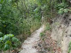 -素山寺森林公园