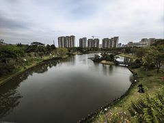 -王借岗森林公园