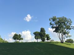 -深圳人才公园