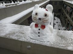 -武汉大学老图书馆