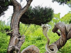 -泰州凤城河风景区-泰山公园