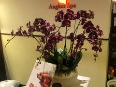 -Angkor SPA 柬埔寨古法按摩(环贸店)