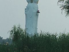 -白洋淀景区