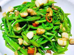 煸青丝炒扇贝柱-味莊·青岛菜(云霄路店)