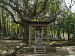 -兰亭风景区