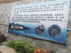 -小赖鱼馆
