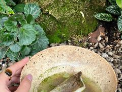 -曲廊院(东四十一条店)