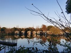 -乌镇景区