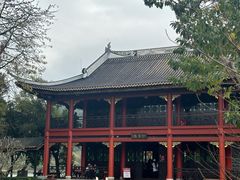 -顺峰山公园