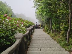 -梧桐山风景名胜区