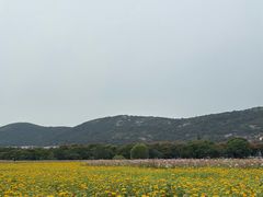 -长广溪湿地公园