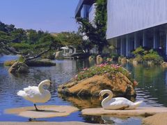 -罗红摄影艺术馆