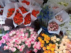 -循礼门鲜花花市(武汉循礼门店)