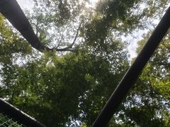 -日照海滨国家森林公园