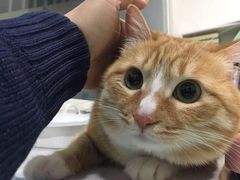 -子乐宠物医院