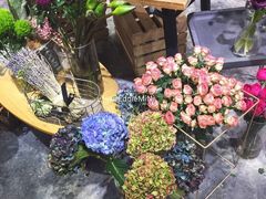 -植物学家的女儿(北马道巷店)