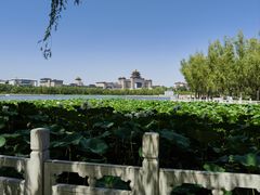 -莲花池公园