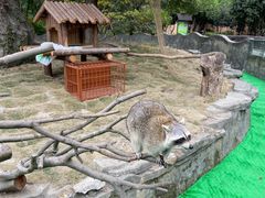 -宁波野生动物园