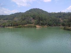 -广州白江湖森林公园