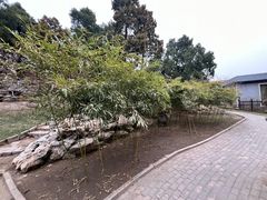 -北京市劳动人民文化宫(太庙)