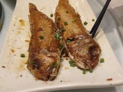 马头鱼-顺丰轩园林酒家(天河店)