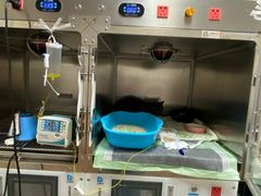 -康成宠物医院24H·CT·核磁共振