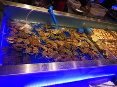 水产区-SEA西雅图海鲜自助餐厅(正义店)