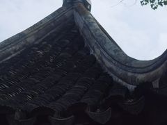 -香雪海