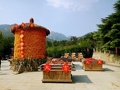 -沂蒙山旅游区云蒙景区(蒙山国家森林公园)