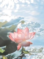 -唤颜美容·养生按摩SPA